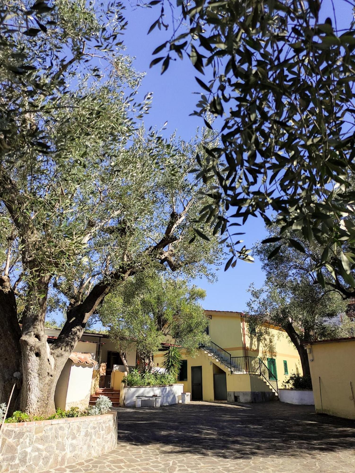 Case Vacanza Da Domingo Marina di Camerota Eksteriør bilde