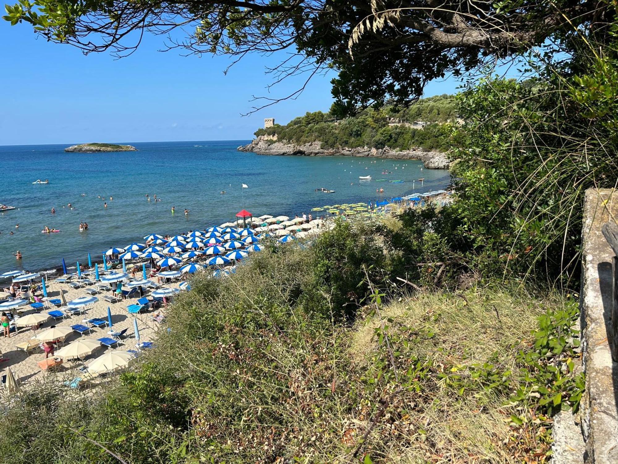 Case Vacanza Da Domingo Marina di Camerota Eksteriør bilde